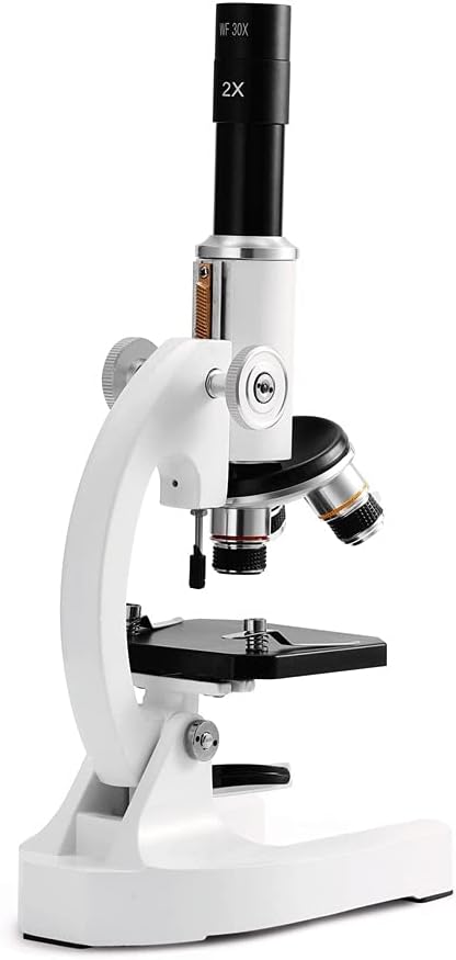 Microscope optique : biologie cellulaire 